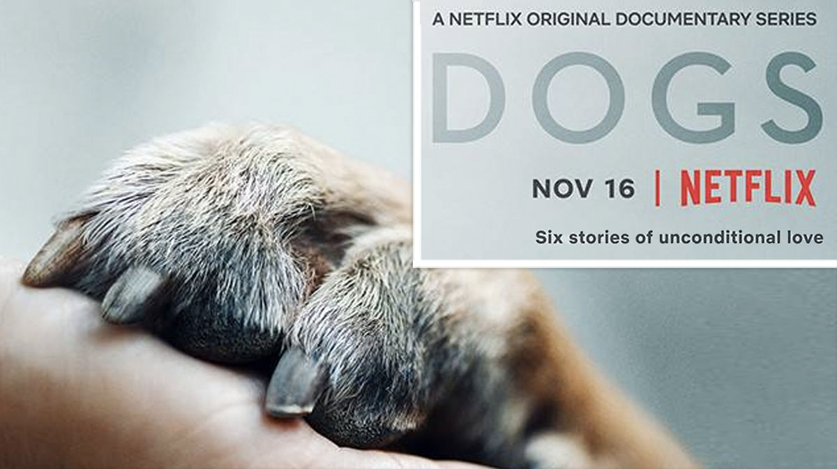 netflix-dogs-documentary-series-HERO